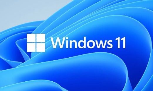 Baixa Windows 11 Português PT-BR